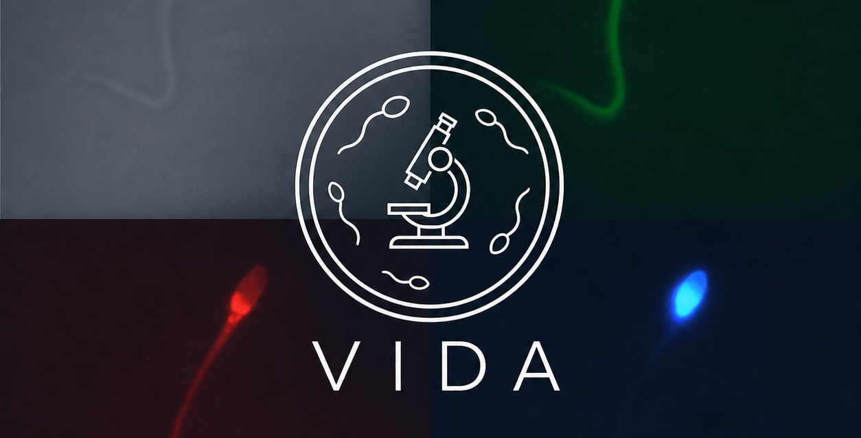 logo_vida